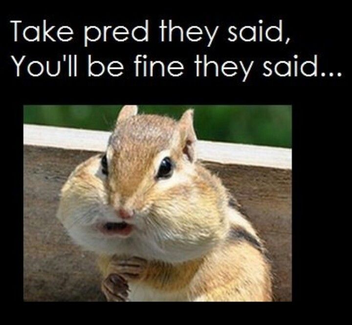 Steroids Reduced To 55mg